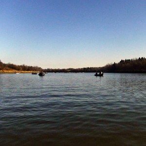 Meet your Posher, Ken